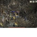 아마조나 이미지