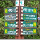 소선암자연휴양림 이미지