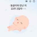 함백산언니들꽃차 | [임신 기록] 22-29주차 임신 중기 (2) / 임당검사, 만삭사진 촬영