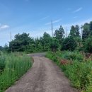 시흥리-8 이미지