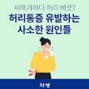 허리 아플때 등 허리 다리 통증 이유 이미지