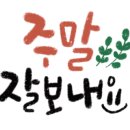 을숙도자전거문화체험협동조합 이미지