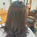 윤지영헤어 이미지