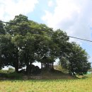 삼항2리 이미지