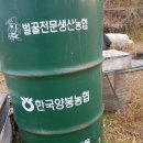 대봉양봉원