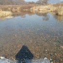 봉황사우나