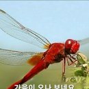 사랑나무님~ 이미지