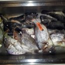 송악 낚시터 이미지