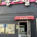 똥꼬발랄 | 목포 다양한 친구들이 많이있는 애견카페 추천 똥꼬발랄