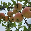 송치낚시터 이미지