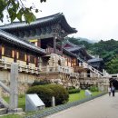 경주시티투어천마관광