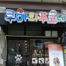 쿠마와푸코네 이미지