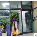 세무법인아림 - 강남구 강남대로152길 31 | 세무법인아림