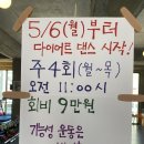 바디홍 | 애견동반 PT, 바디홍 센터 솔직후기