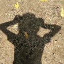 동산자연유치원 이미지