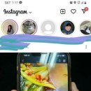 개구리반찬 이미지