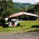 남미농장 이미지