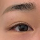 둔산중로-45 | 대전 둔산동속눈썹 시청역 근처 라무드 방문후기