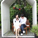 밀크인제주 이미지