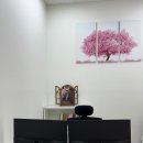 박경령세무회계컨설팅