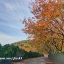 에버리오골프클럽 이미지