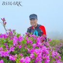 일림 이미지