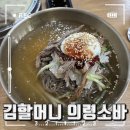 의병로 | 의령 소바맛집 김할머니 의령소바 본점 방문후기