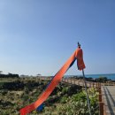 까사 그란데 이미지