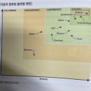 [HD]4차산업혁명 VR(가상현실), AR(증강현실) 기초 다지기 Part.2 AR 기술 과 시장분석 | 미국주식으로 은퇴하기 실전투자편
