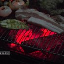 에코카보닝 | 캠핑바베큐 숯 추천 에코카보닝 대나무숯 고기맛 굳