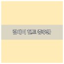 람세이 헌트 증후군 - 인천터미널정형외과