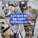 해충 오케이 | 제주 청소업체 원룸 쓰레기처리와 퇴실 청소까지 한 번에 진행한 후기!