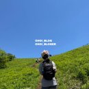 (주)페어플레이 | [강원 정선] 초록이 예뻤던 민둥산(1119m)_ 티머니GO 페어플레이 버스