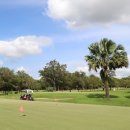 기초 튼튼 여행 영어(초급) 이미지