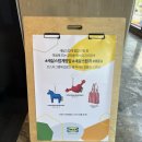 새삶스럽게 | 수유 이케아 팝업스토어 새삶스럽게 관람 후기 (에피소드 838 가는방법)