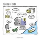 청담 드레스샵 | 에델린꾸뛰르 | 촬영드레스 피팅후기 (오간자 실크·레이스·풍성·머메이드·블랙)