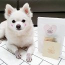 맘마멈머 이미지