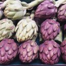 아티초크 artichoke 이미지