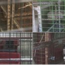 한국동물혈액은행 동물병원 이미지