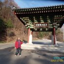 봉화농협주유소 이미지
