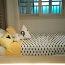 평택 포스코 더샵 이미지