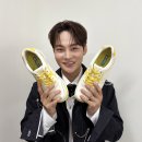 슈올즈 이넷뉴스