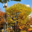 후생치과의원 이미지