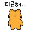 카카오 이미지