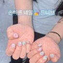 드니브