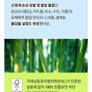 아이 셋 엄마의 솔직한 닥터노아 유아칫솔, 키즈치약 사용후기