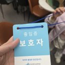 푸디스트(주) 수원중앙병원점 | 중앙대학교 광명 병원 아이 간헐성 외사시수술 후기