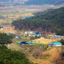 변산초교 이미지