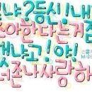 버디버디 이미지