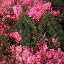 회화한의원 이미지